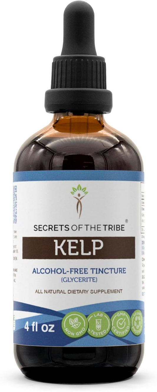 Alcohol-Free Kelp Liquid Extract - Secrets of the Tribe Dried Plant Tincture (4 FL OZ)