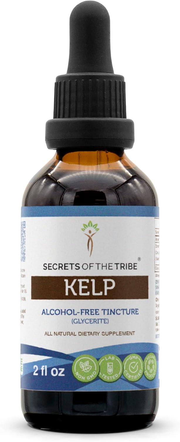 Alcohol-Free Liquid Kelp Extract Tincture - Secrets of the Tribe Dried Plant Supplement (2 FL OZ)