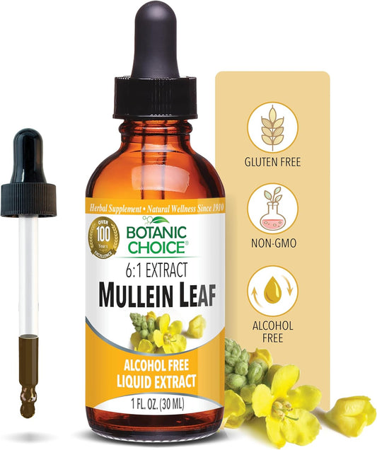 Alcohol-Free Mullein Leaf Liquid Extract for Traditional Respiratory Support - 1 Fl. Oz. - Gluten-Free