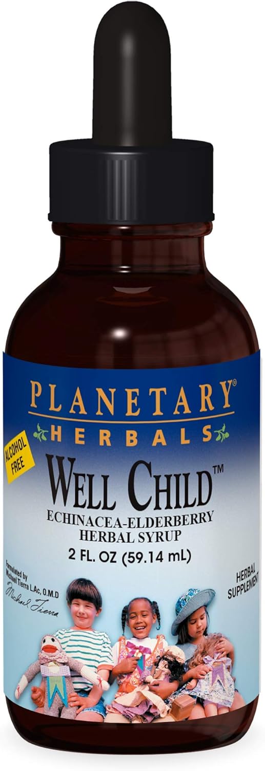 Alcohol-Free Planetary Herbals Well Child Echinacea-Elderberry Herbal Syrup - 2 fl oz