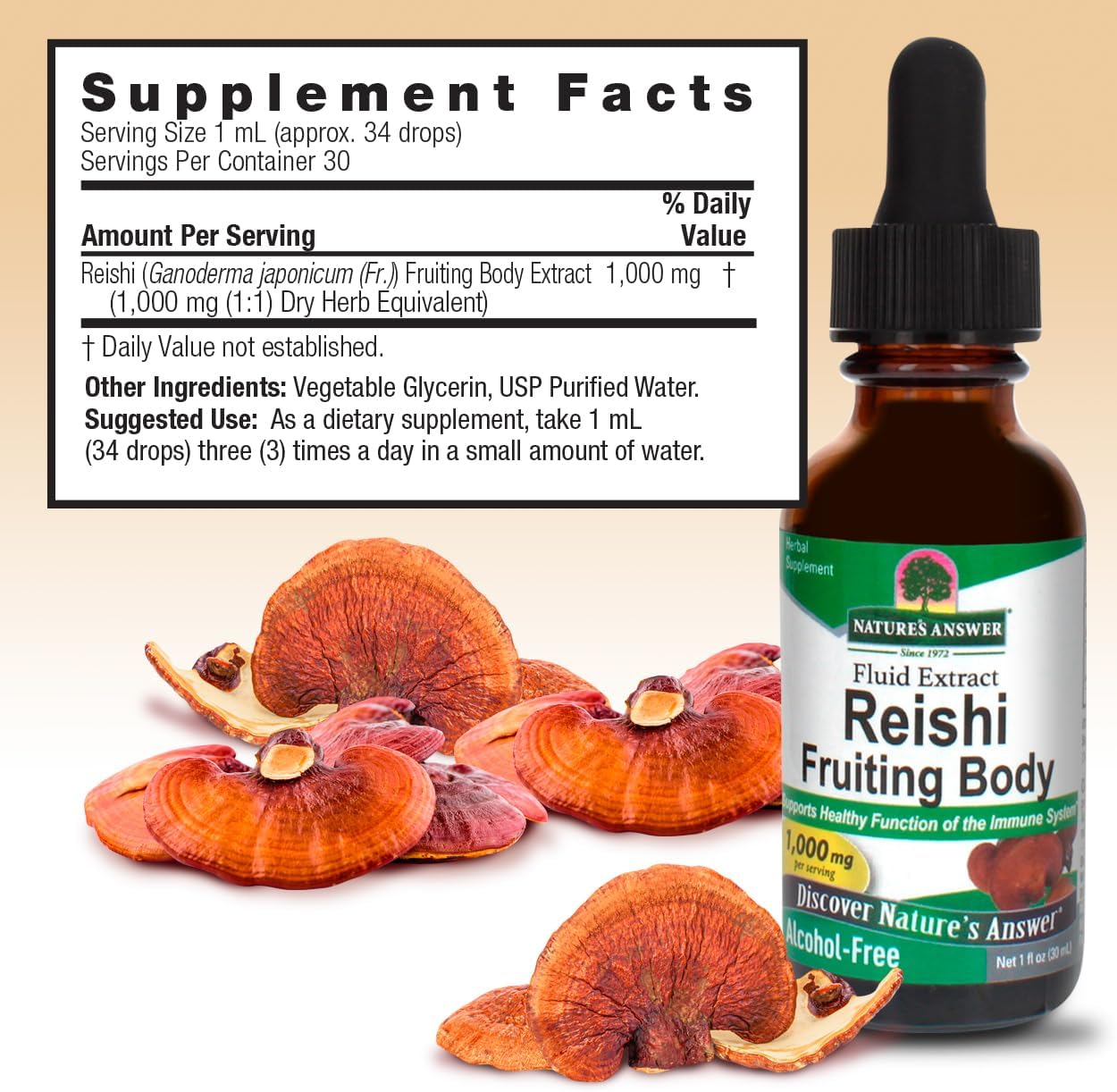 Alcohol-Free Reishi Extract Fruiting Body for Immune System Support - 1oz Liquid Extract