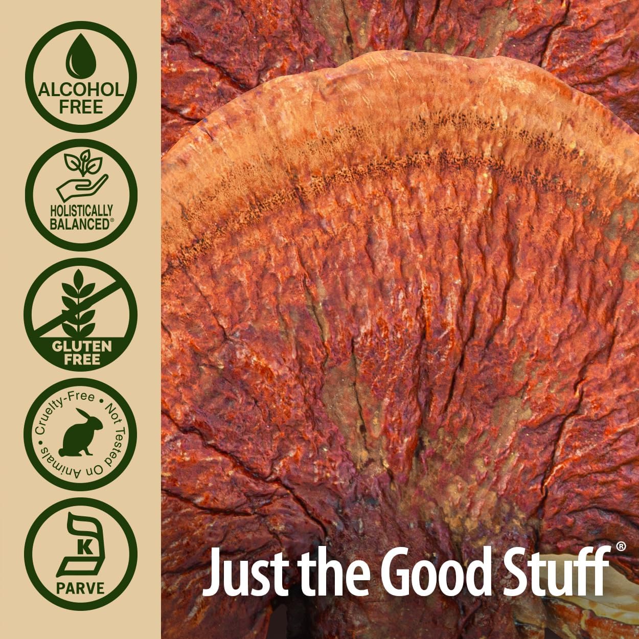 Alcohol-Free Reishi Extract Fruiting Body for Immune System Support - 1oz Liquid Extract