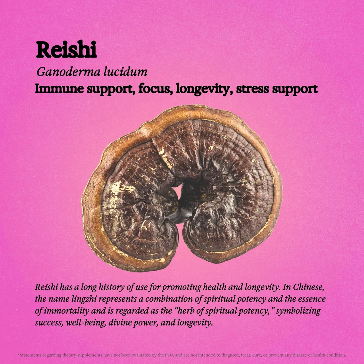 Alcohol-Free Reishi Mushroom Tincture for Immune Support, Mood, and Sleep - Vegan Liquid Supplement, Non GMO - 3.4 fl oz