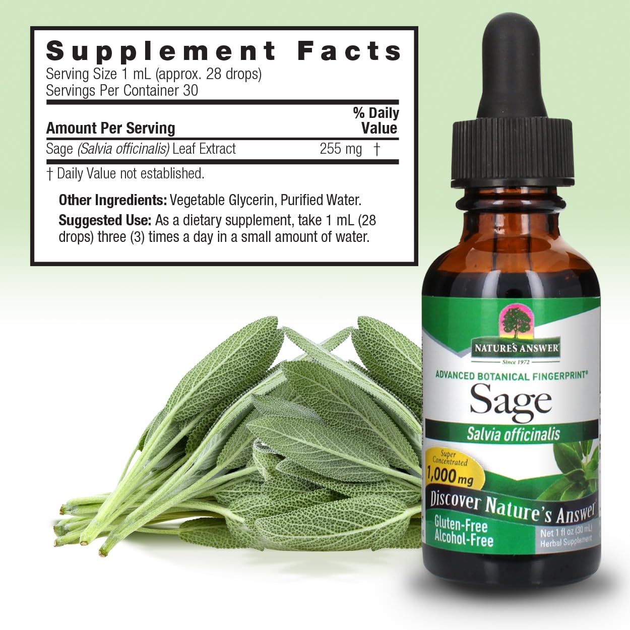 Alcohol-Free Sage Leaf Supplement for Mental Function and Gut Health - 1oz, Gluten-Free, Digestive Support