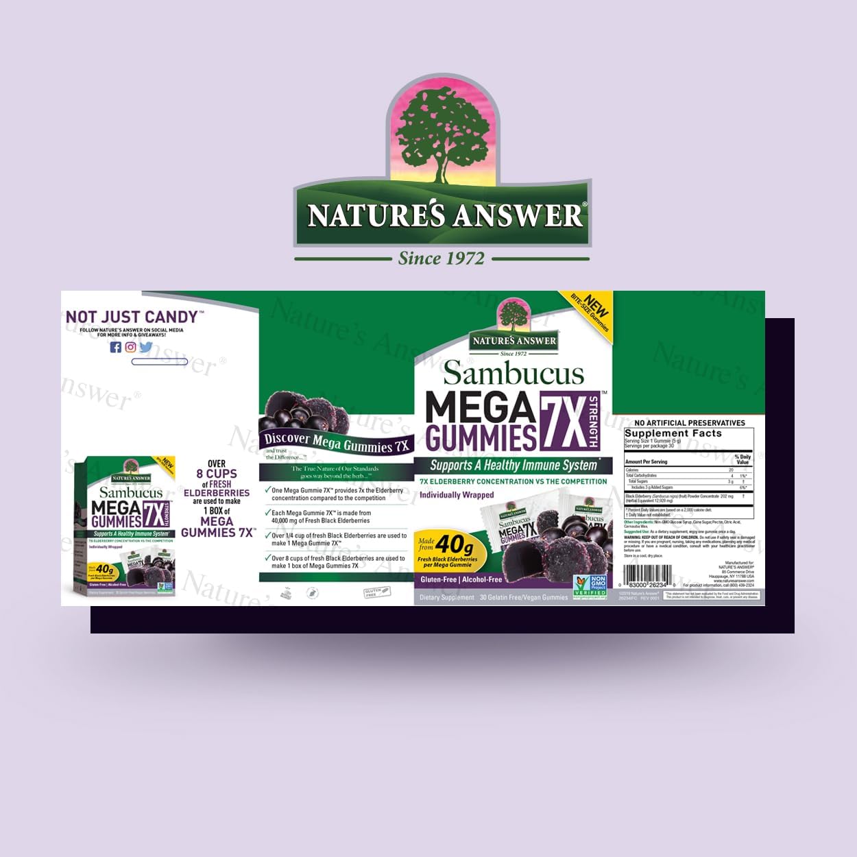 Alcohol-Free Sambucus Mega Gummies 30-Gummies 2 Pack | High Elderberry Concentration | Immune Support | Gluten-Free, Vegan, Non-GMO