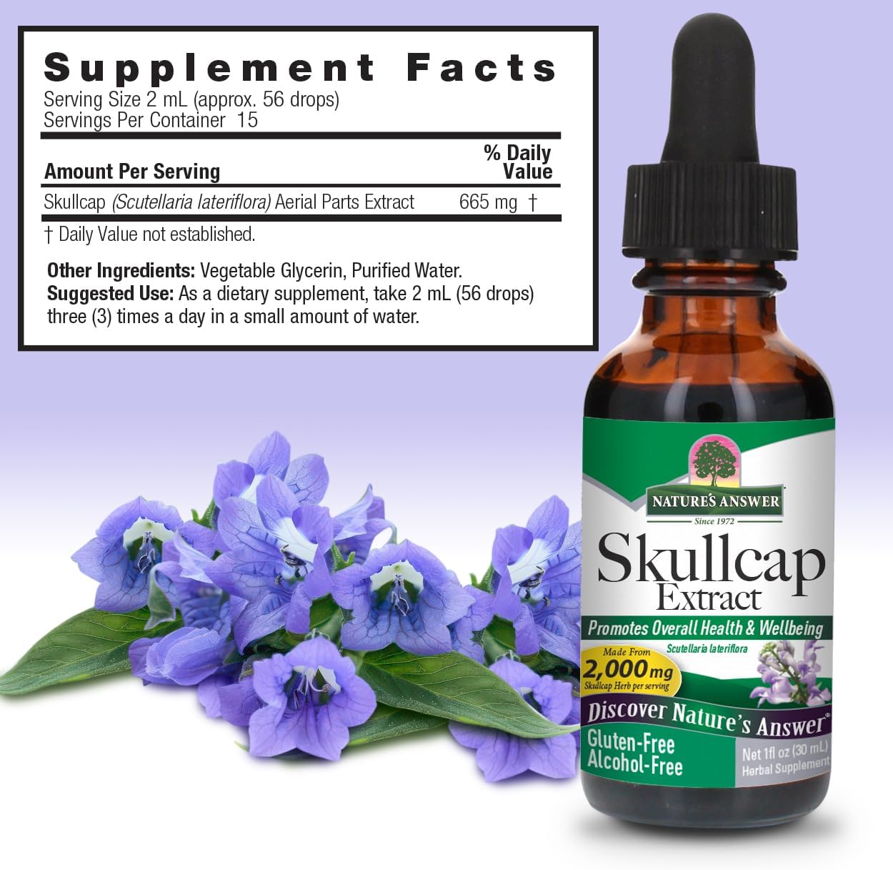 Alcohol-Free Skullcap Herb Extract Liquid Supplement for Natural Calmness and Nervous System Support - 1oz