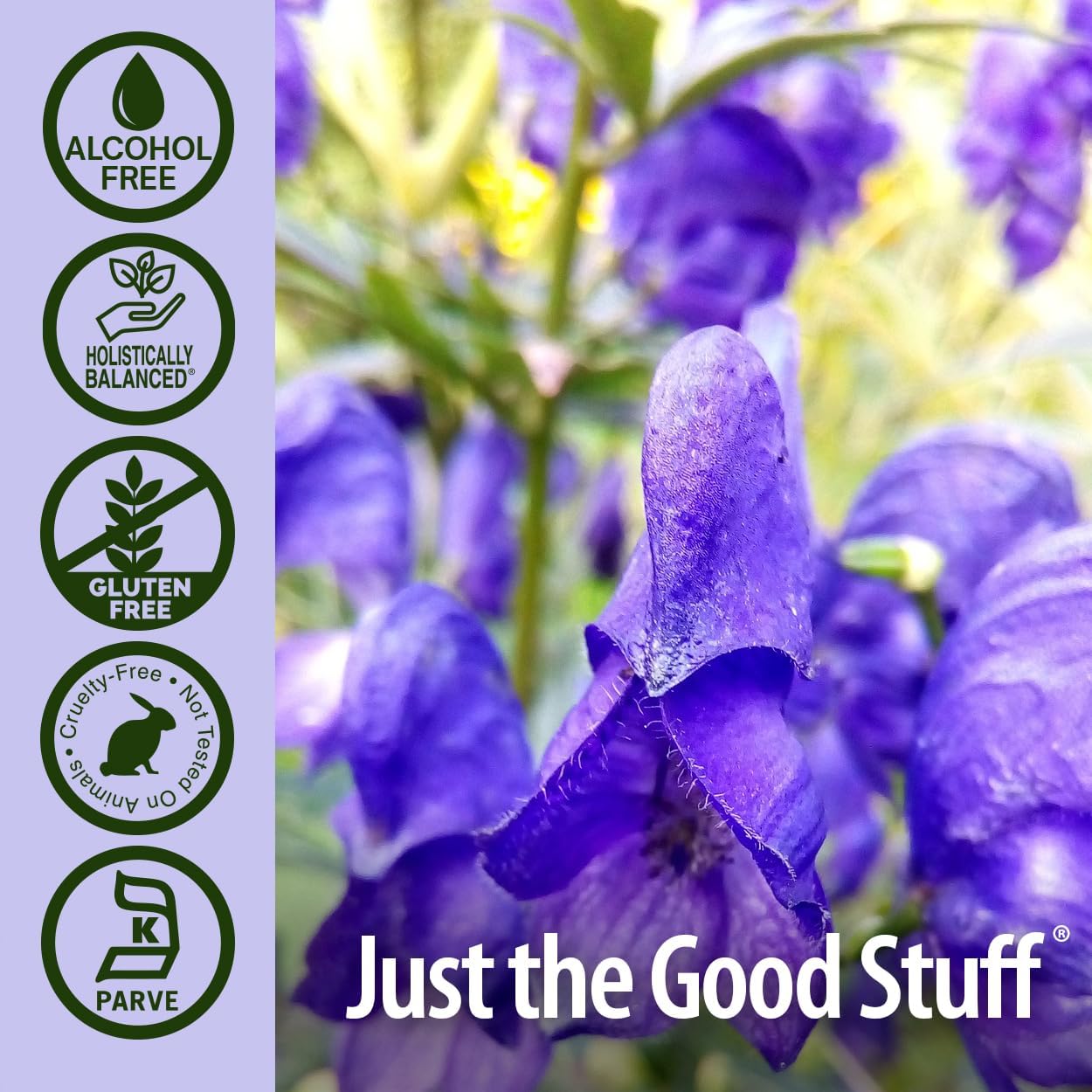 Alcohol-Free Skullcap Herb Extract Liquid Supplement for Natural Calmness and Nervous System Support - 1oz