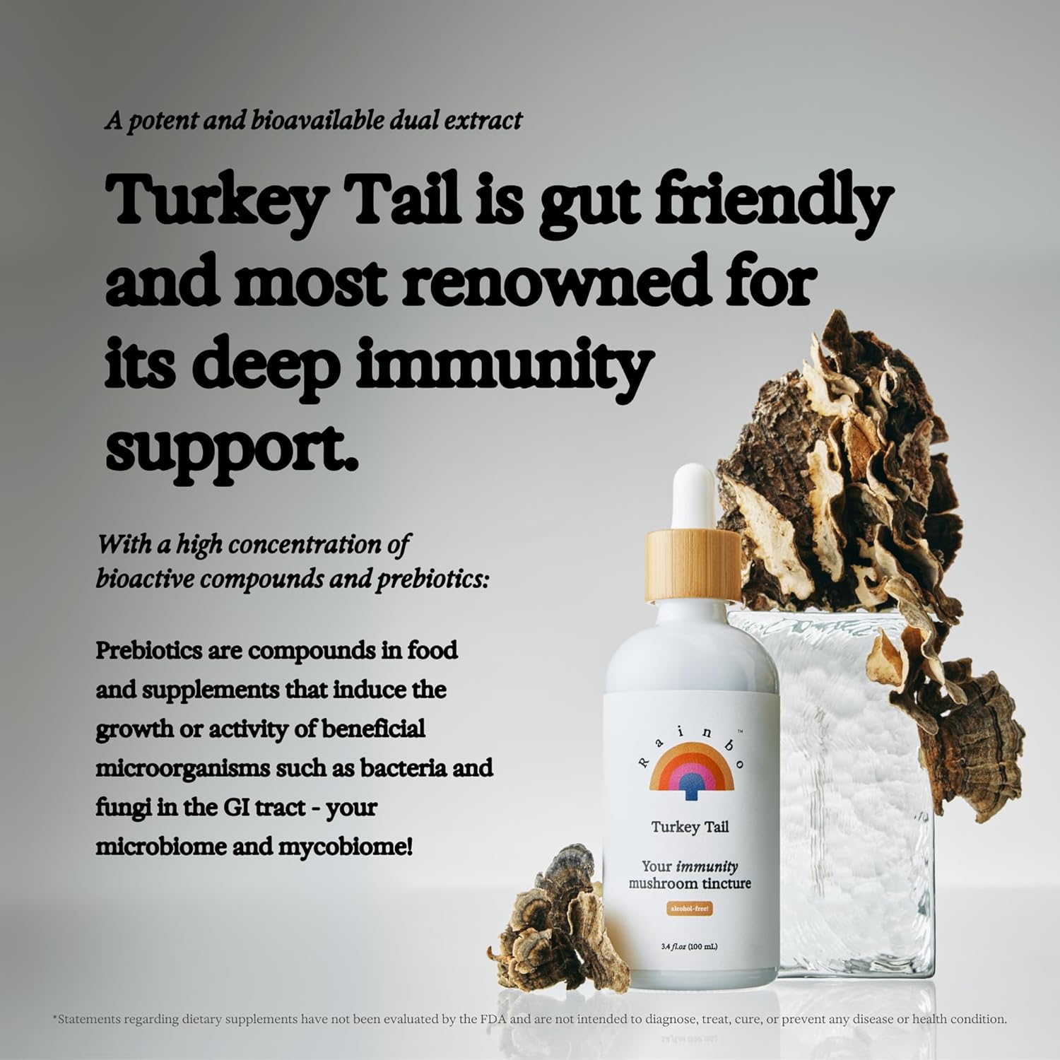 Alcohol-Free Turkey Tail Mushroom Tincture for Immune Support & Gut Health - 3.4 fl oz Vegan Liquid Supplement