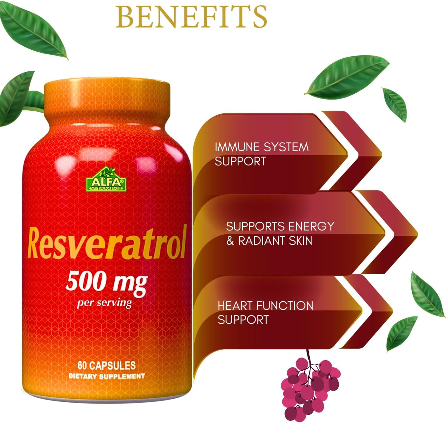 Alfa Vitamins Resveratrol 1000mg Capsules - Antioxidant Support for Brain, Heart, Metabolism - 60 Count