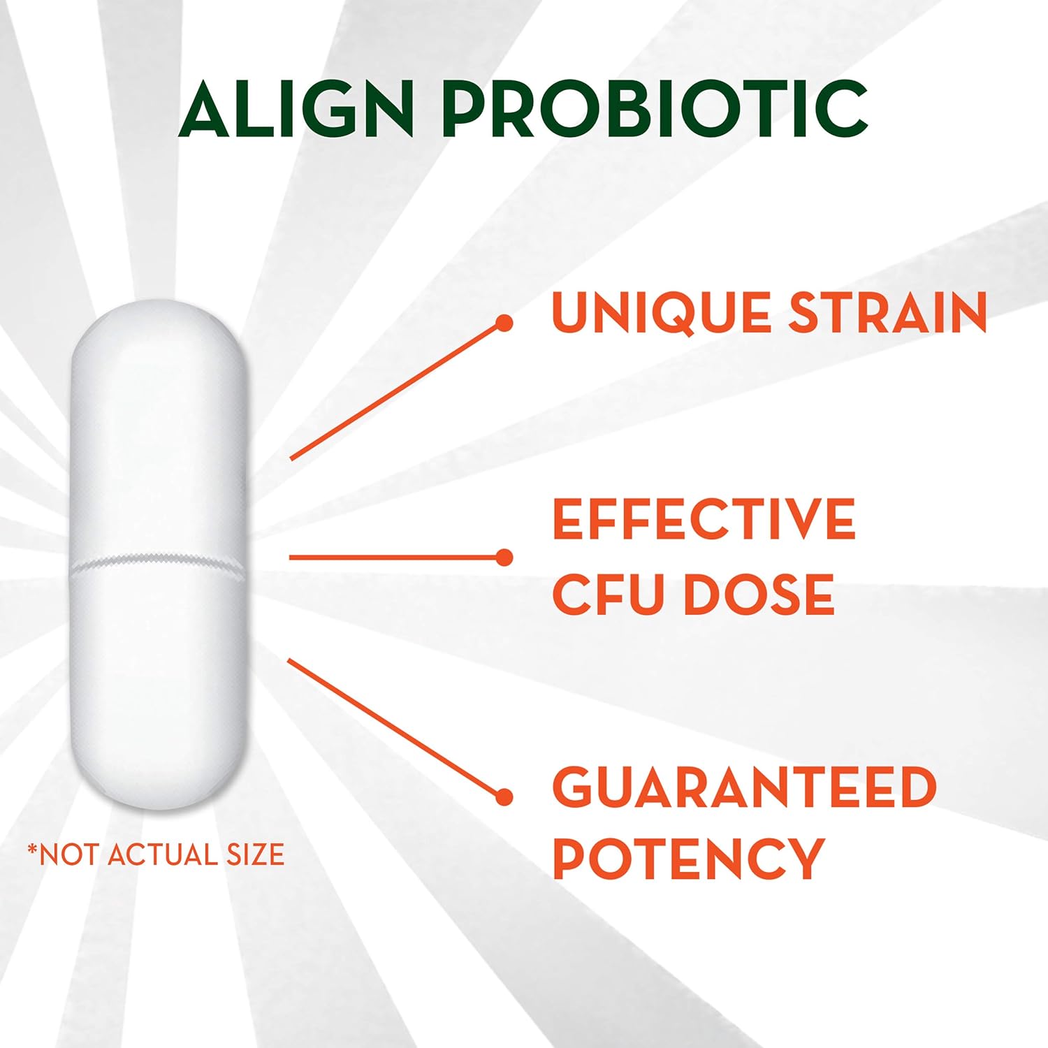Align Probiotics 28 Capsules x 2 - Daily Digestive Health Support, #1 Gastroenterologist Recommended Supplement