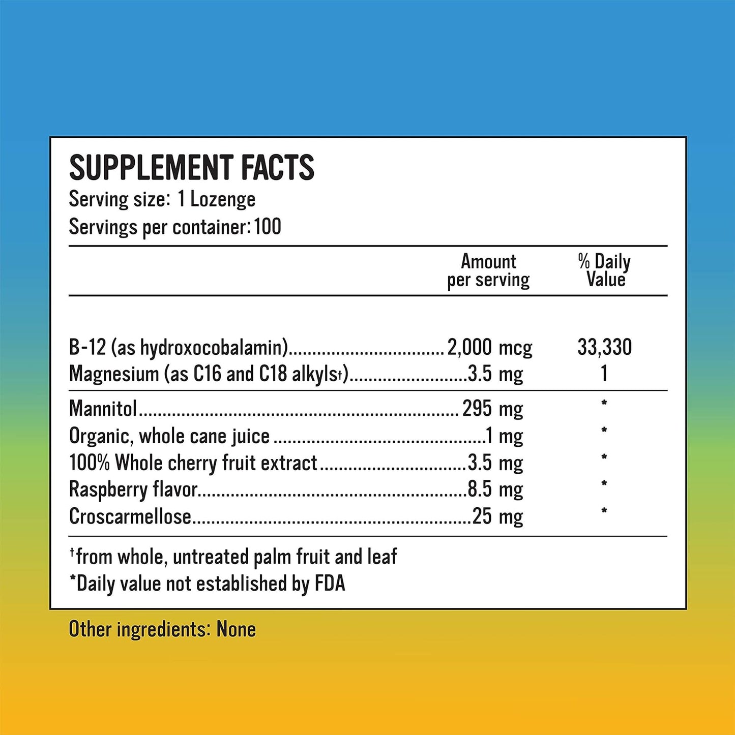 Alkaline for Life Rise Well Vitamin B12 Lozenge - Boost Energy and Metabolism with Vitamin B12 Supplement