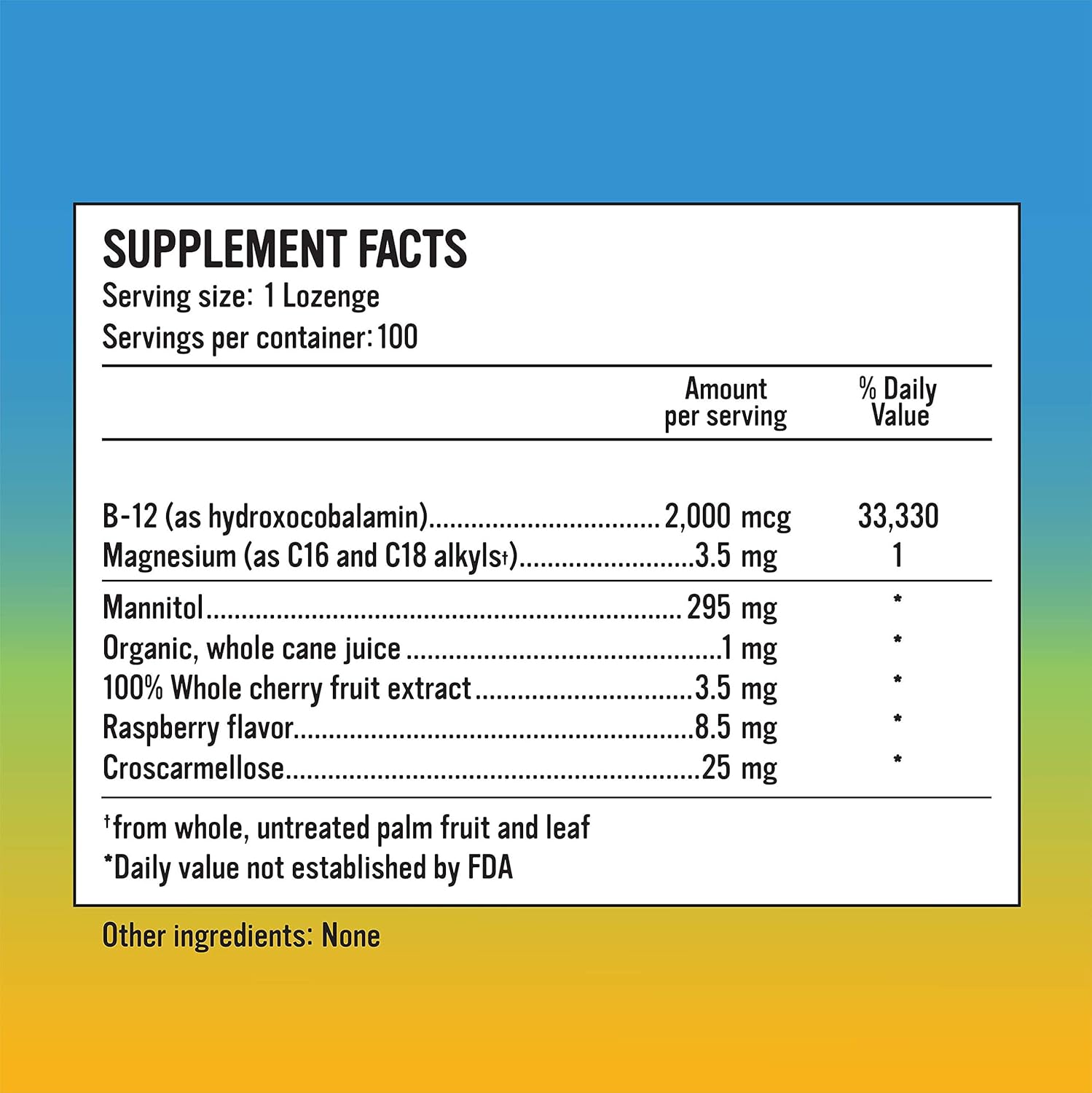 Alkaline for Life Rise Well Vitamin B12 Lozenge - Boost Energy and Metabolism with Vitamin B12 Supplement