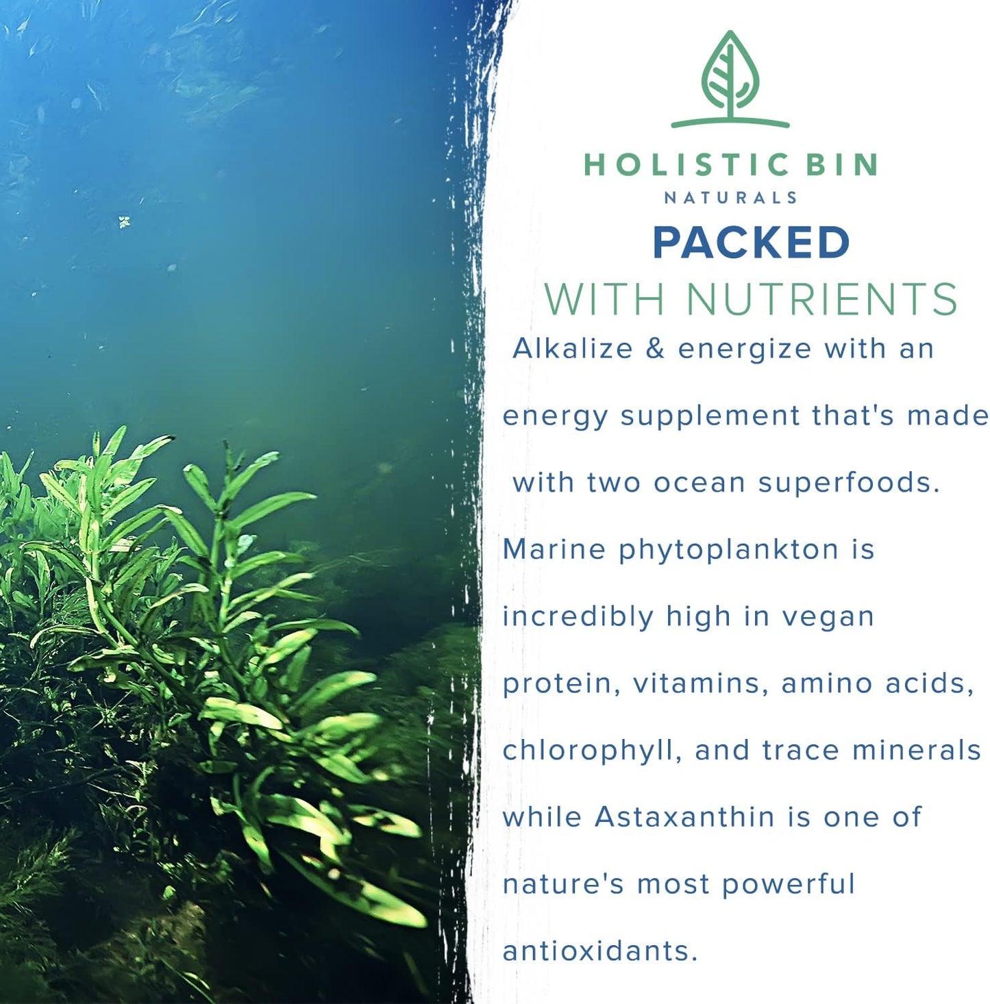 Alkaline Rock Stars Blue Green & Red Algae Supplement - 500mg Capsules with Marine Phytoplankton & Astaxanthin | Antioxidant-Rich Vegan Omega 3 Source | 30 Day Supply