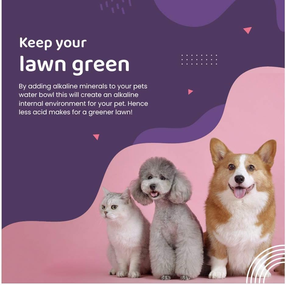 Alkazone Alkaline Multi Mineral Drops for Pets - Enhance Your Cat and Dog's Health with Alkaline Water and Essential Minerals