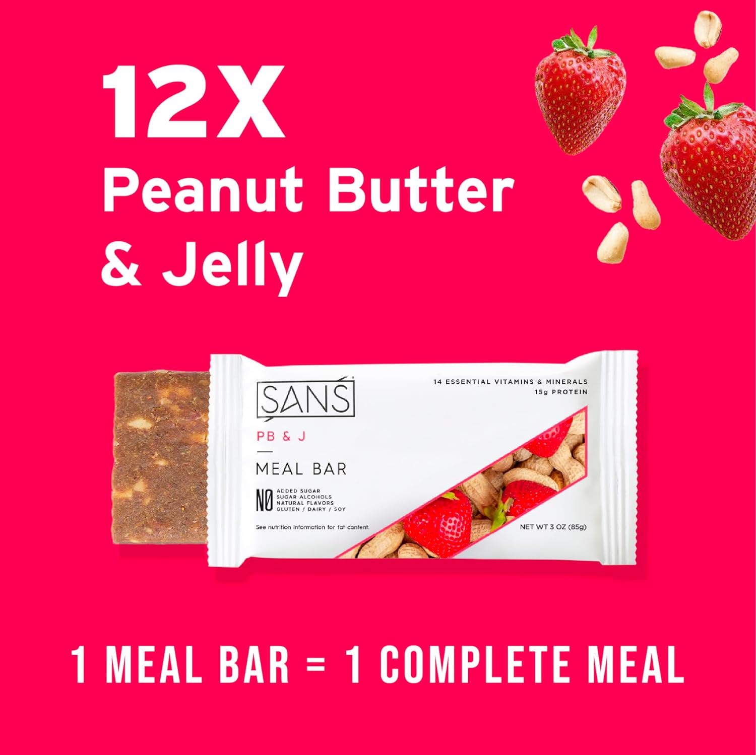 All-Natural Dairy-Free Protein Bar with 14 Vitamins & Minerals - Gluten-Free Meal Replacement Bar (12 Pack)