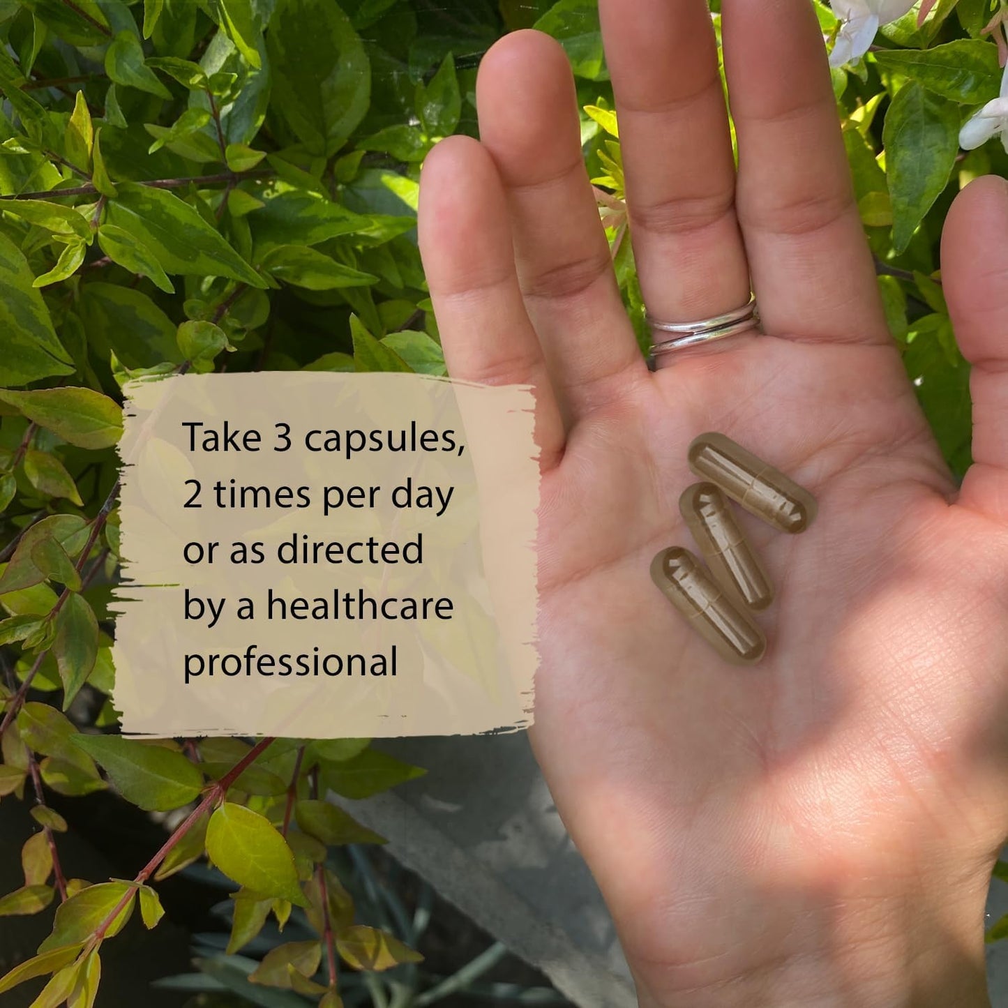 All Natural Dragon Herbs Super Adaptogen Supplement for Well-Being, Mood, and Immune Function - Non-GMO with 100 Capsules