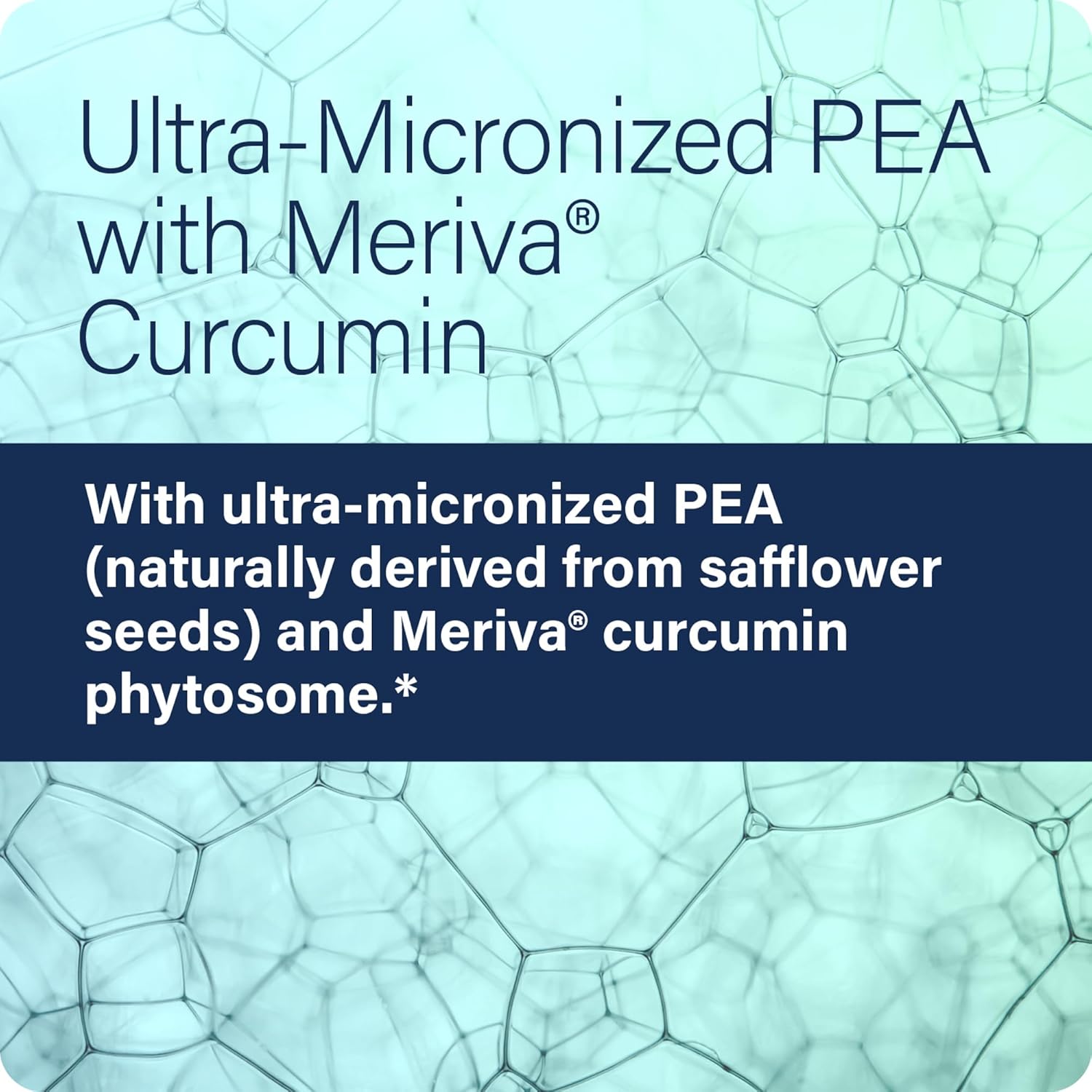 All-Natural Enzyme Science Pea+ Capsules with Meriva Curcumin for Physiological Support of Nervous, Immune, & Muscular Systems - 120 Count