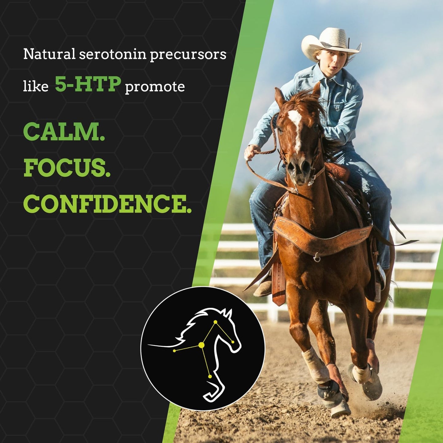 All-Natural Equine Digestive Health Support Supplement - 30 Servings - Promotes Stomach & Hindgut Health, Aids in Ulcer Relief, Enhances Tissue Repair