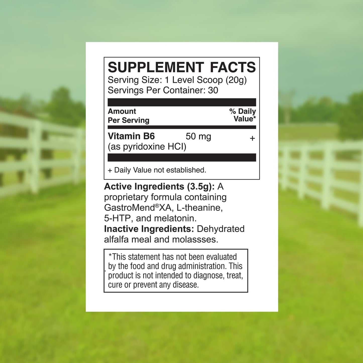 All-Natural Equine Digestive Health Support Supplement - 30 Servings - Promotes Stomach & Hindgut Health, Aids in Ulcer Relief, Enhances Tissue Repair