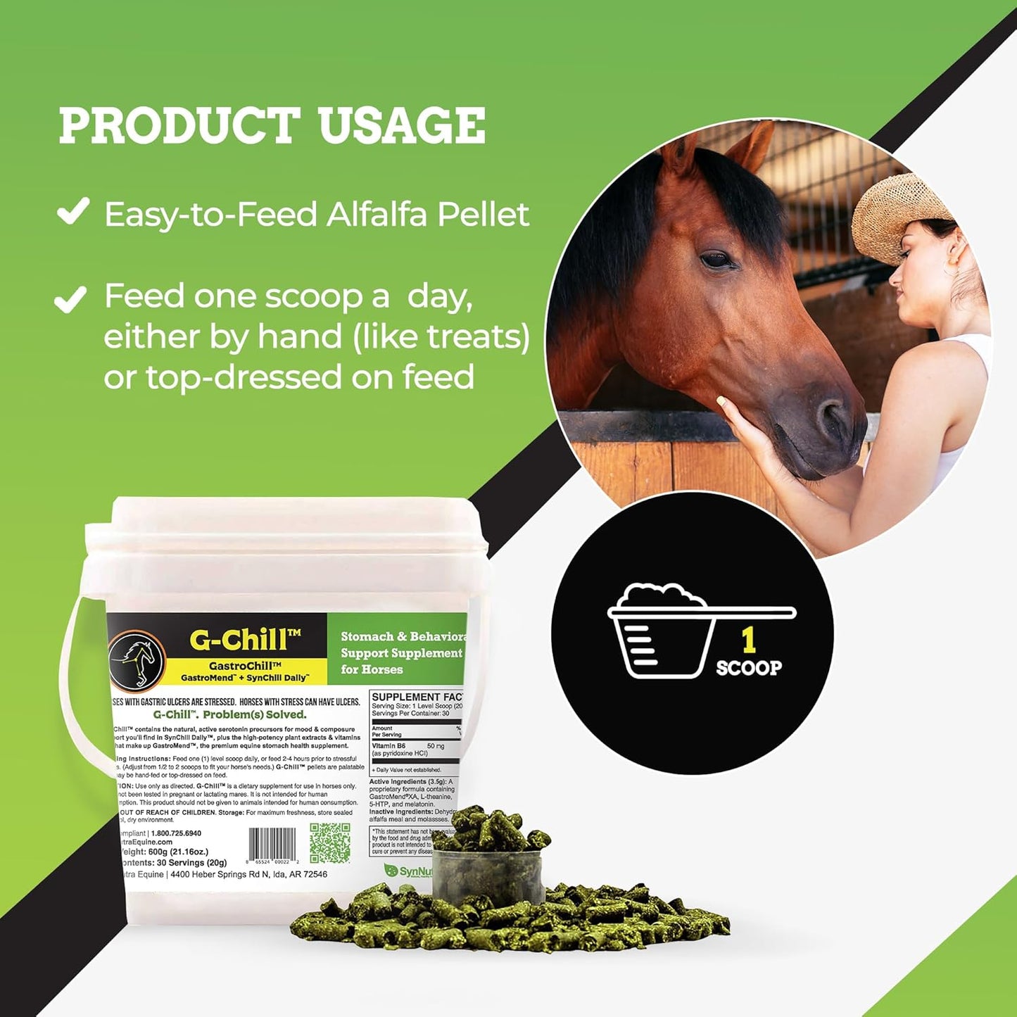 All-Natural Equine Digestive Health Support Supplement - 30 Servings - Promotes Stomach & Hindgut Health, Aids in Ulcer Relief, Enhances Tissue Repair