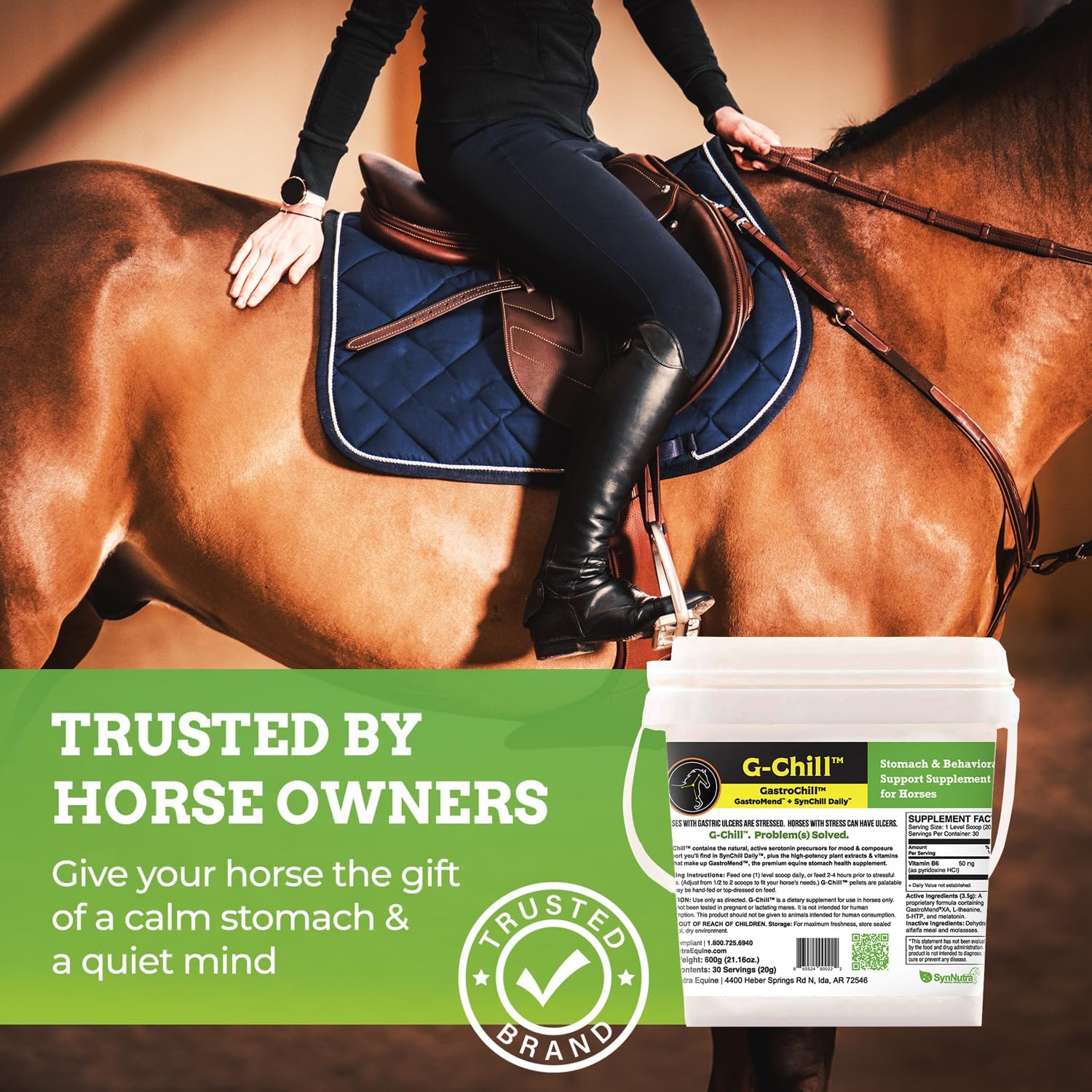 All-Natural Equine Digestive Health Support Supplement - 30 Servings - Promotes Stomach & Hindgut Health, Aids in Ulcer Relief, Enhances Tissue Repair