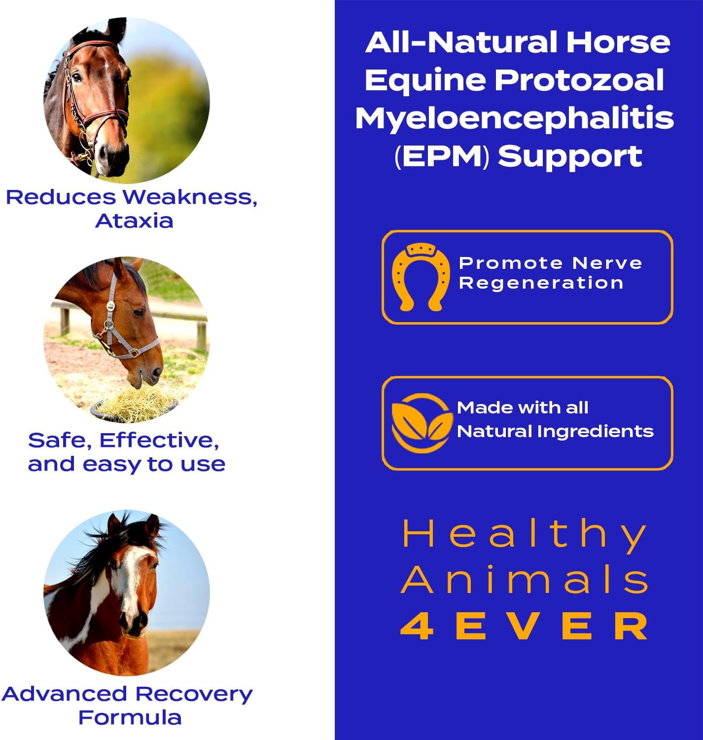 All-Natural Equine Protozoal Myeloencephalitis (EPM) Support Supplements - Reduce Weakness & Ataxia - Highly Effective - 300 Tablets