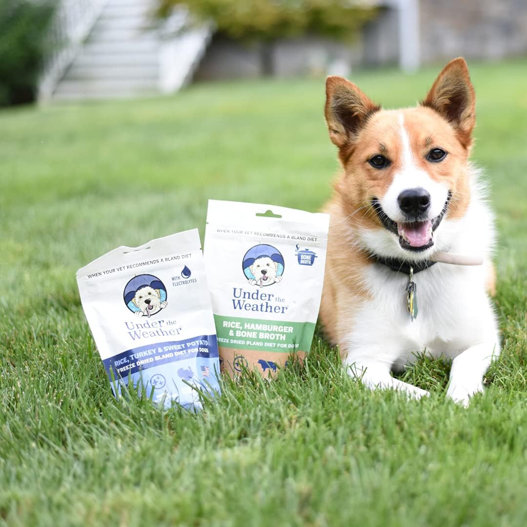 All Natural Freeze Dried Bland Diet for Sick Dogs - Easy to Digest with Electrolytes - 6 Pack Multiflavor 6oz - Always Be Prepared