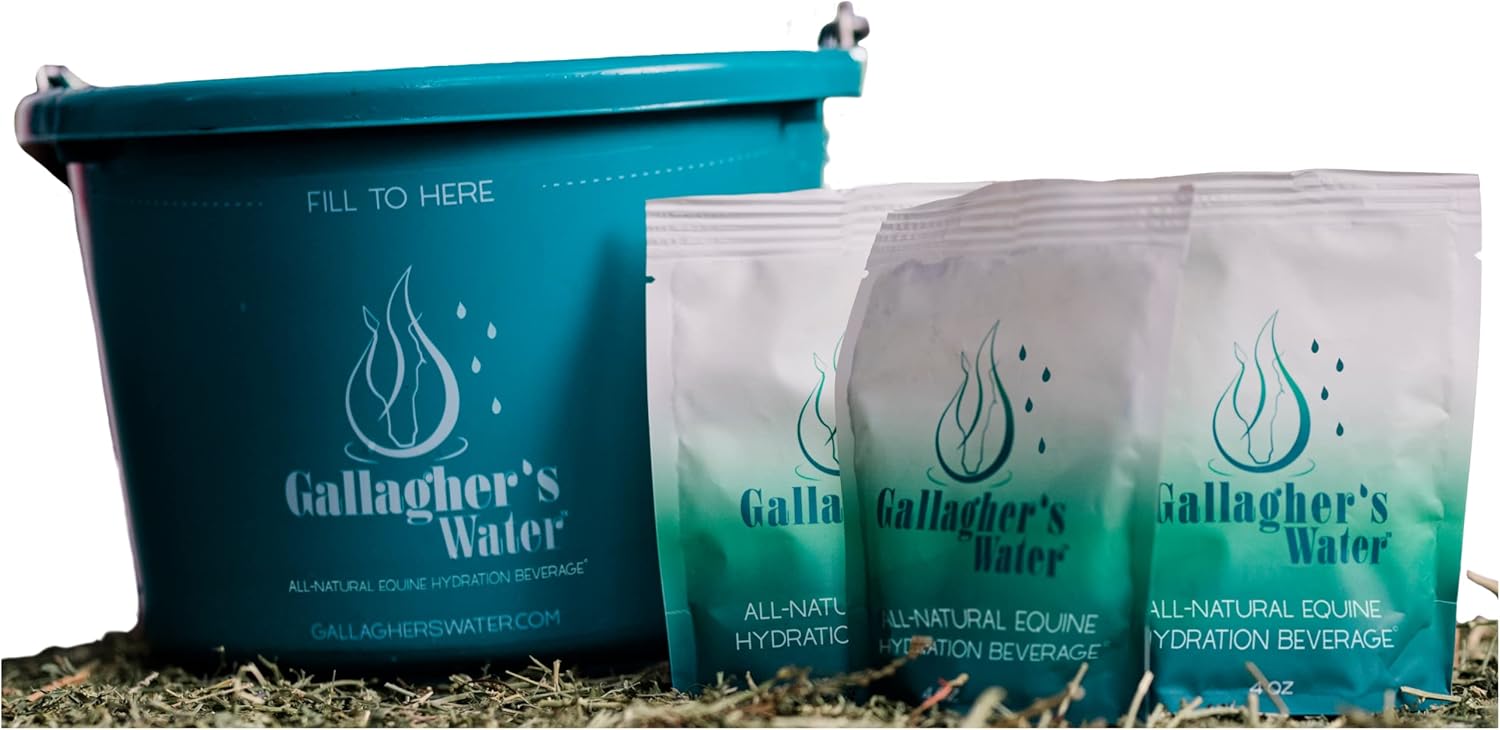 All-Natural Gallagher's Equine Hydration Treat Powder Mix for Horses - Encourages Water Consumption, FEI Compliant, 120 Pack
