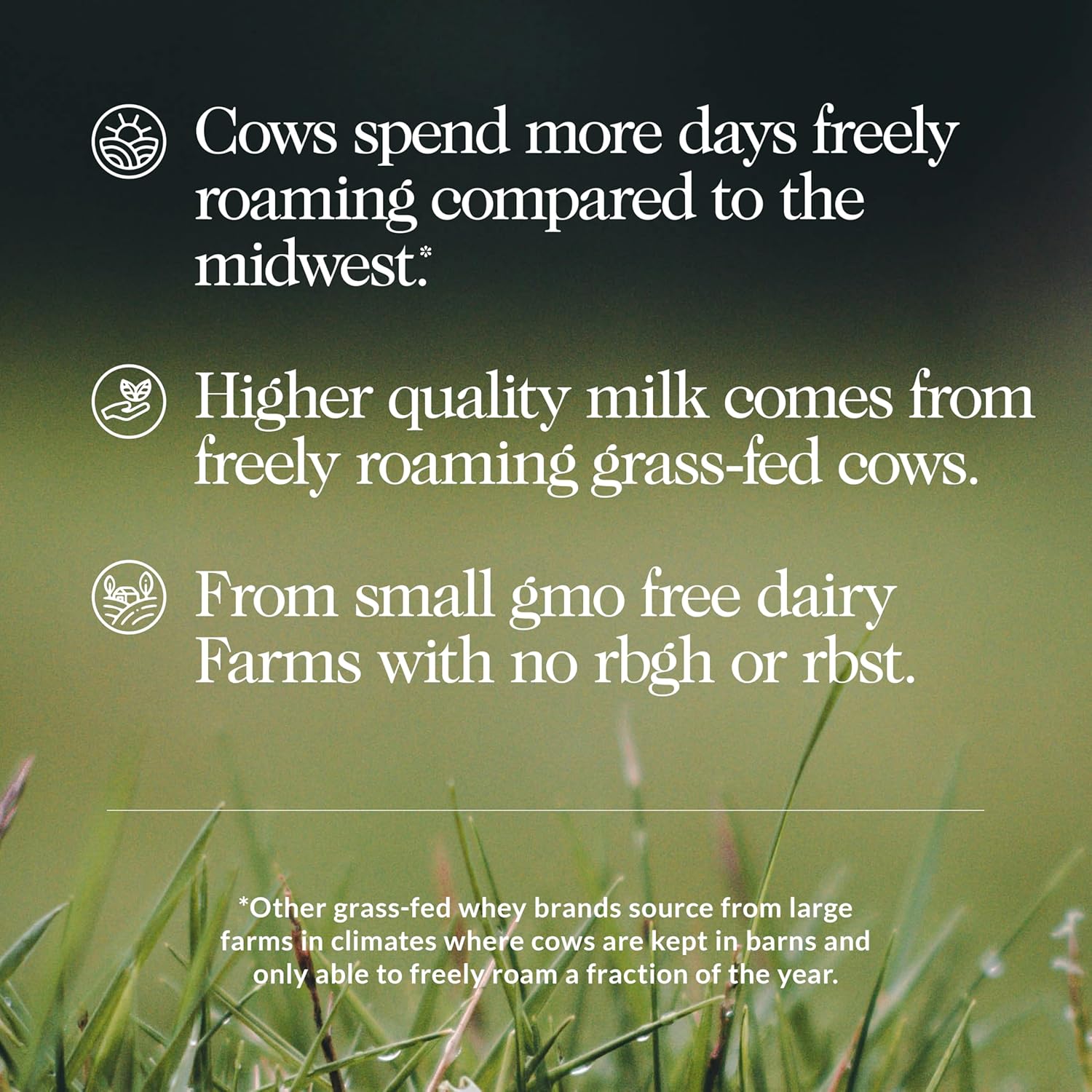 All Natural Grass Fed Strawberry Whey Protein Powder - 5lb Bulk - GMO-Free - Soy & Gluten Free - Muscle Growth & Recovery - 61 Servings