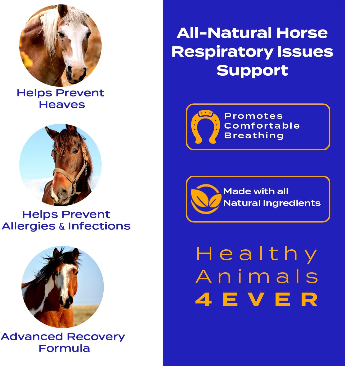 All-Natural Horse Respiratory Support Tablets for Heaves, Allergies & Infections