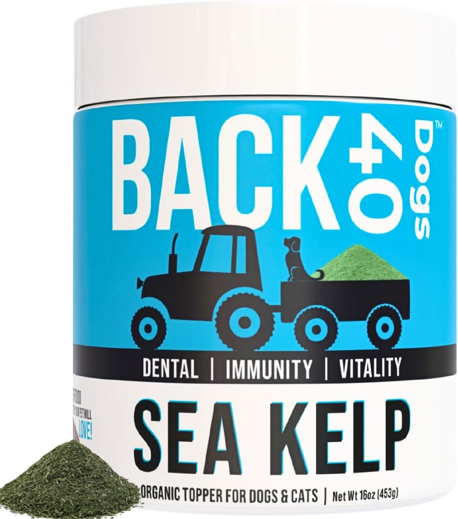 All-Natural Kelp Powder for Dogs, Rich in Iodine & Omegas, Supports Thyroid & Overall Health, 453g