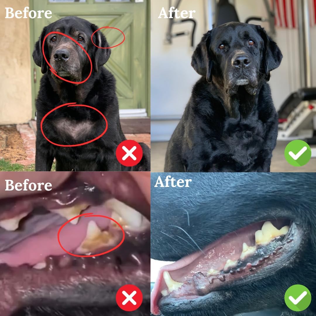 All-Natural Kelp Powder for Dogs, Rich in Iodine & Omegas, Supports Thyroid & Overall Health, 453g