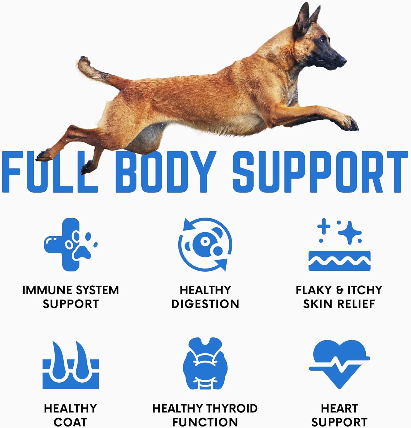 All-Natural Kelp Powder for Dogs, Rich in Iodine & Omegas, Supports Thyroid & Overall Health, 453g