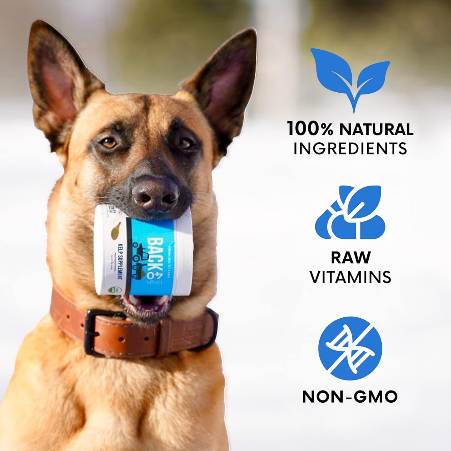 All-Natural Kelp Powder for Dogs, Rich in Iodine & Omegas, Supports Thyroid & Overall Health, 453g