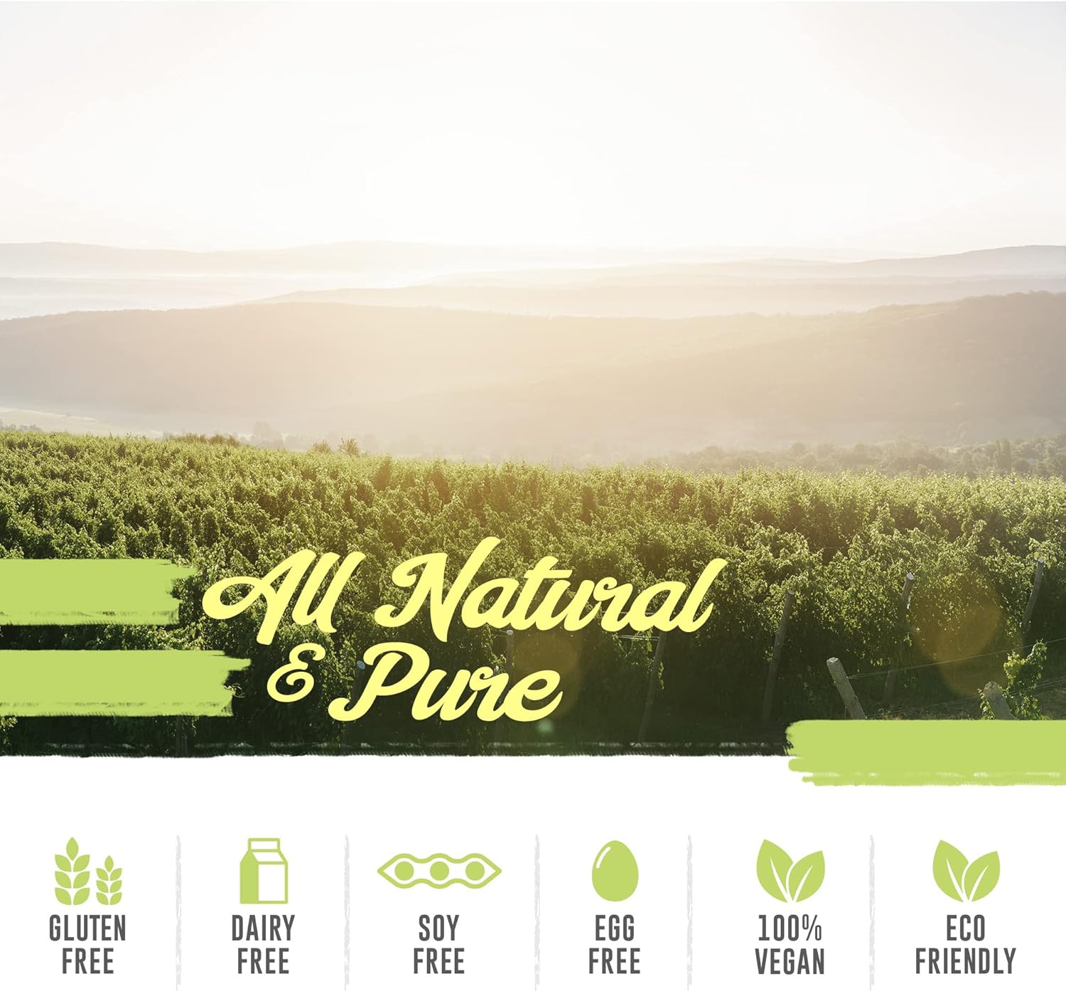 All Natural Onion Extract 1000mg Capsules for Herbal Support - Dried Onion Bulb (Allium Cepa) Dietary Supplement