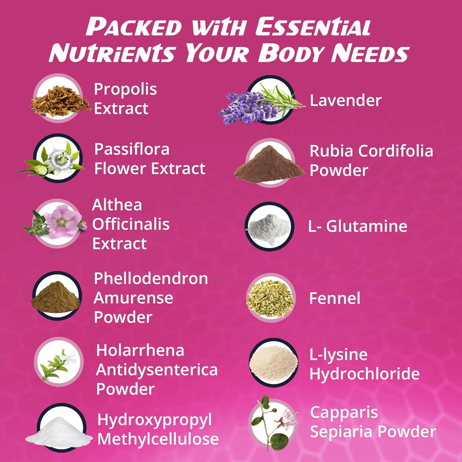 All-Natural RaDoTech ImmunoTune Immune Support Supplement - Boost Bodily Resistance and Defense, Fortify Immune Health - 60 Veg Capsules