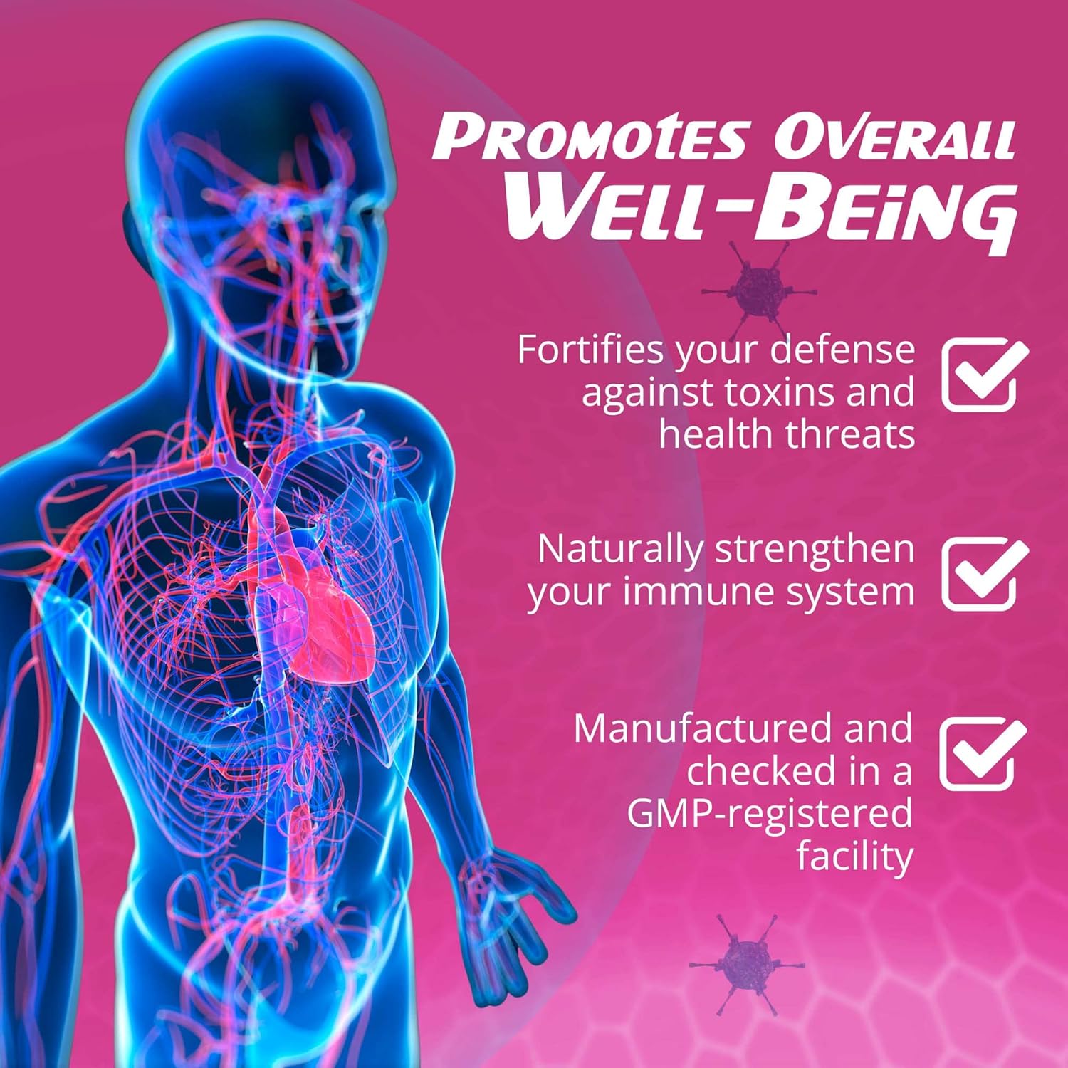 All-Natural RaDoTech ImmunoTune Immune Support Supplement - Boost Bodily Resistance and Defense, Fortify Immune Health - 60 Veg Capsules