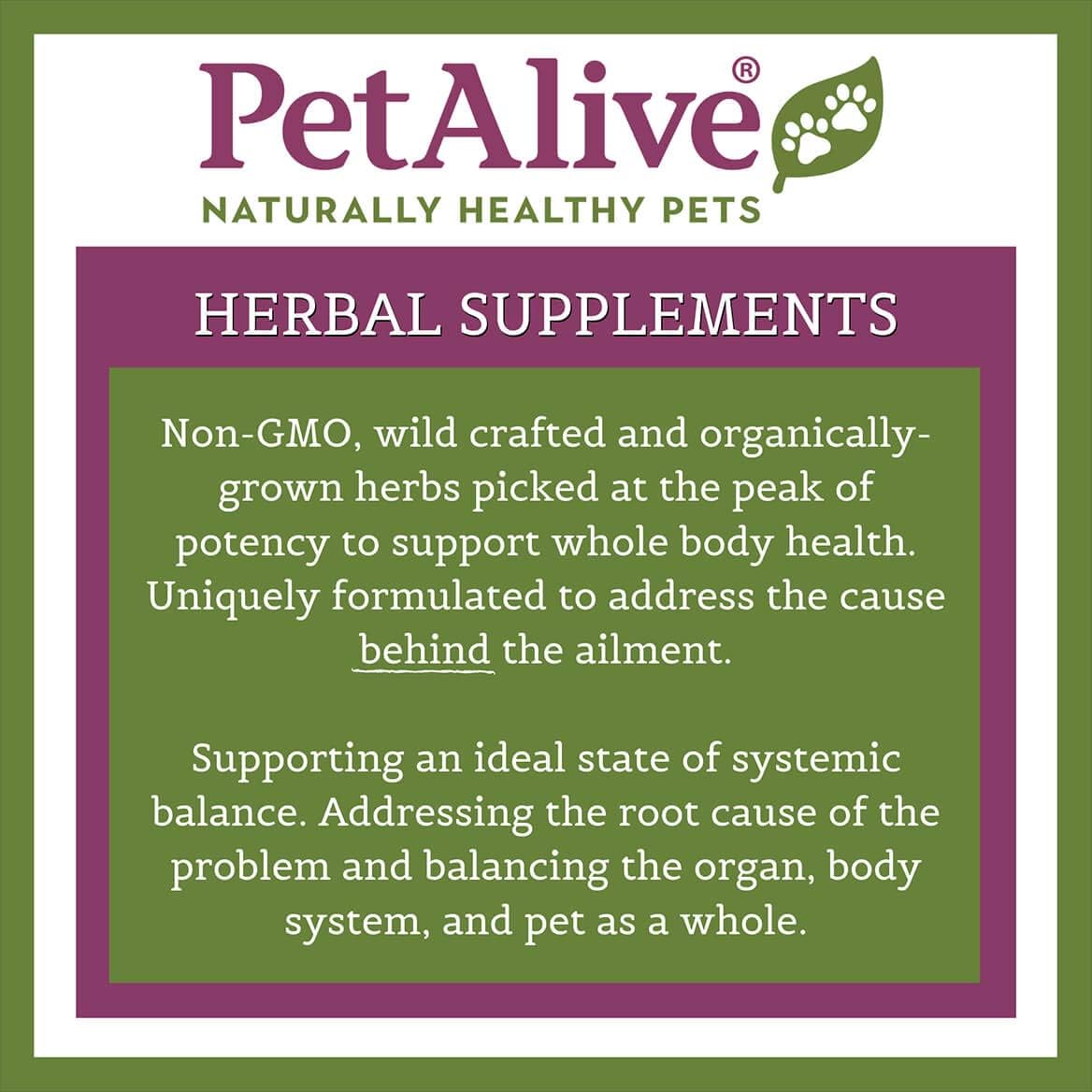 All-Natural Thyroid Gland Supplement for Dogs and Cats - PetAlive Thyro-Pet