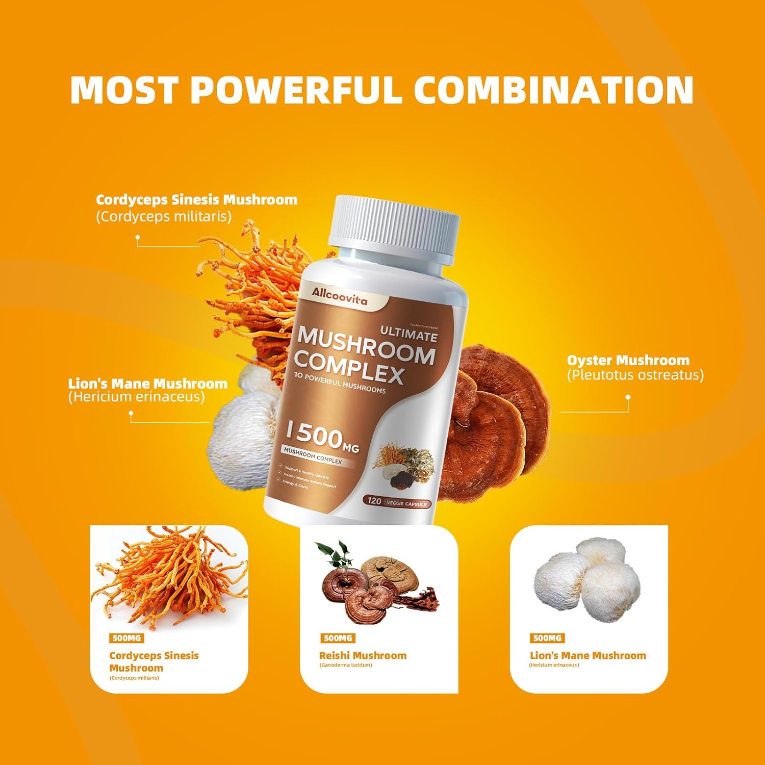 Allcoovita Mushroom Complex Supplement - 120 Capsules for Brain, Energy, and Focus Boost