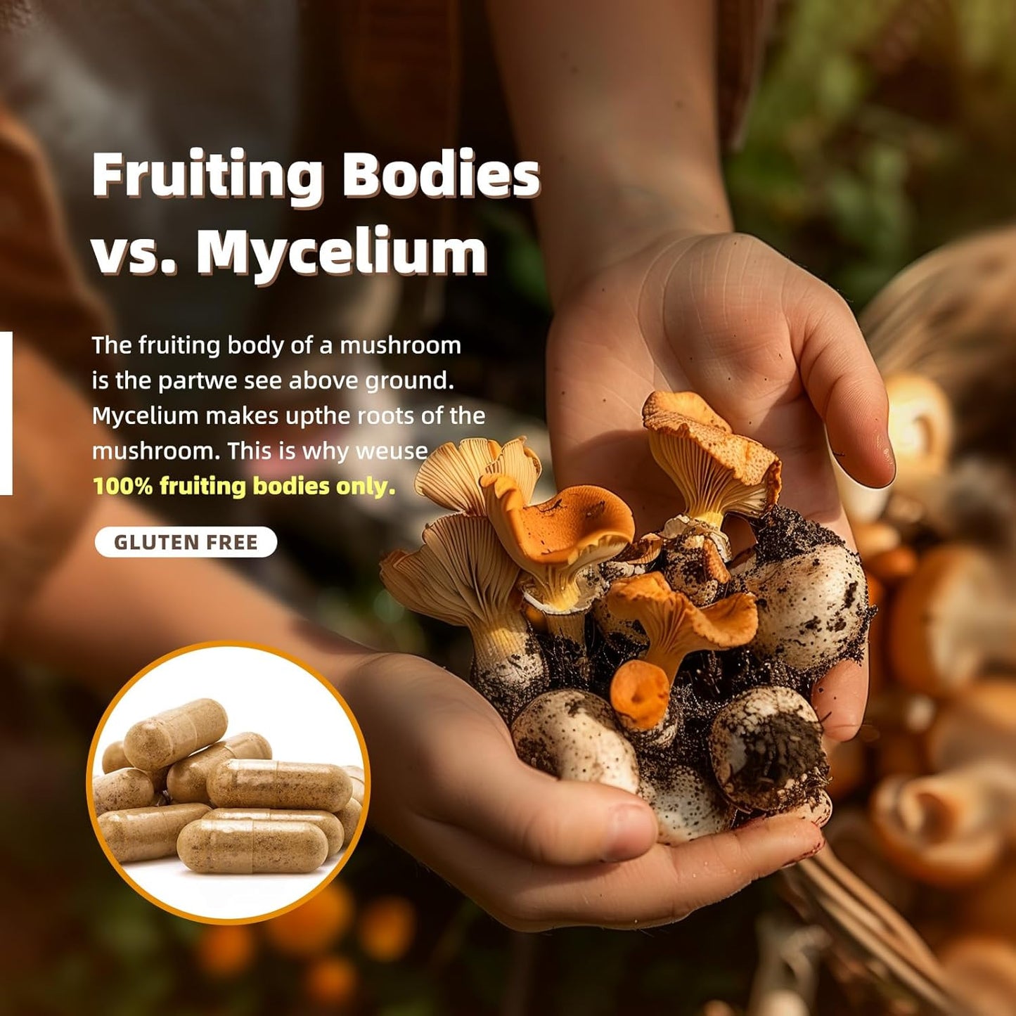 Allcoovita Mushroom Complex Supplement - 120 Capsules for Brain, Energy, and Focus Boost