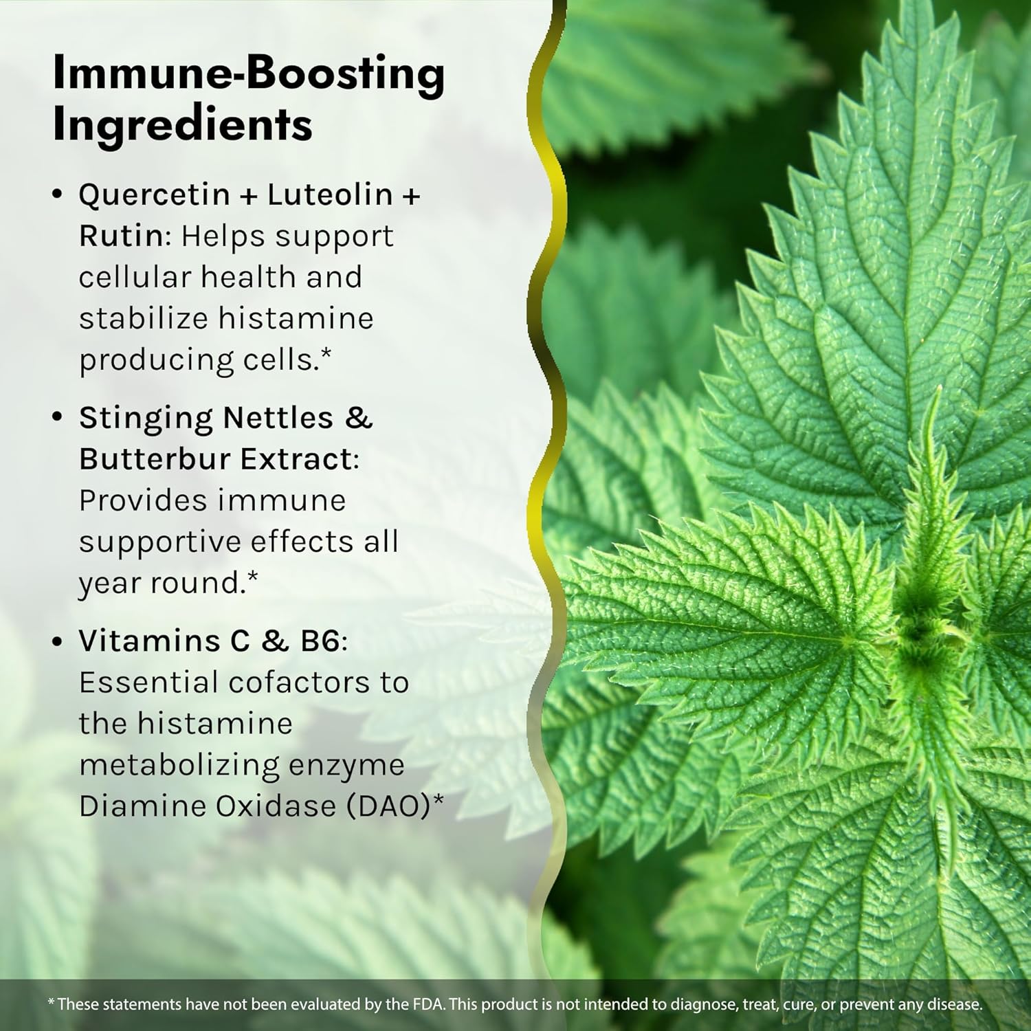 Aller-Pure Liquid Soft-Gels - Histamine Support with Quercetin, Luteolin & Rutin - Non-Drowsy Formula by Irwin Naturals