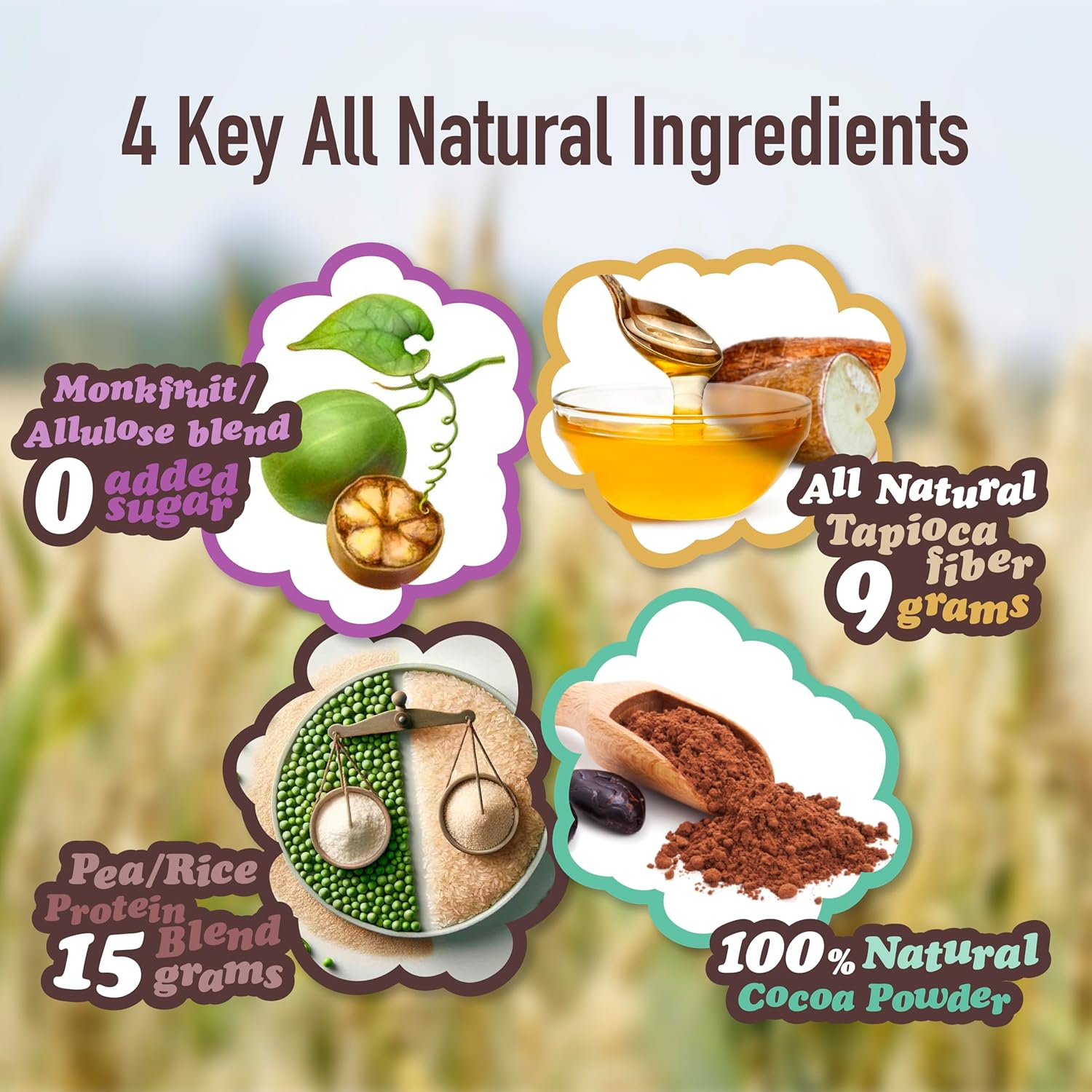 Almond: Choco Brownie Protein Bar - Top 9 Allergen Free, High Protein, Nut Free, Low Calorie, Vegan, Gluten Free, non-GMO, Plant Based, 12 Bars