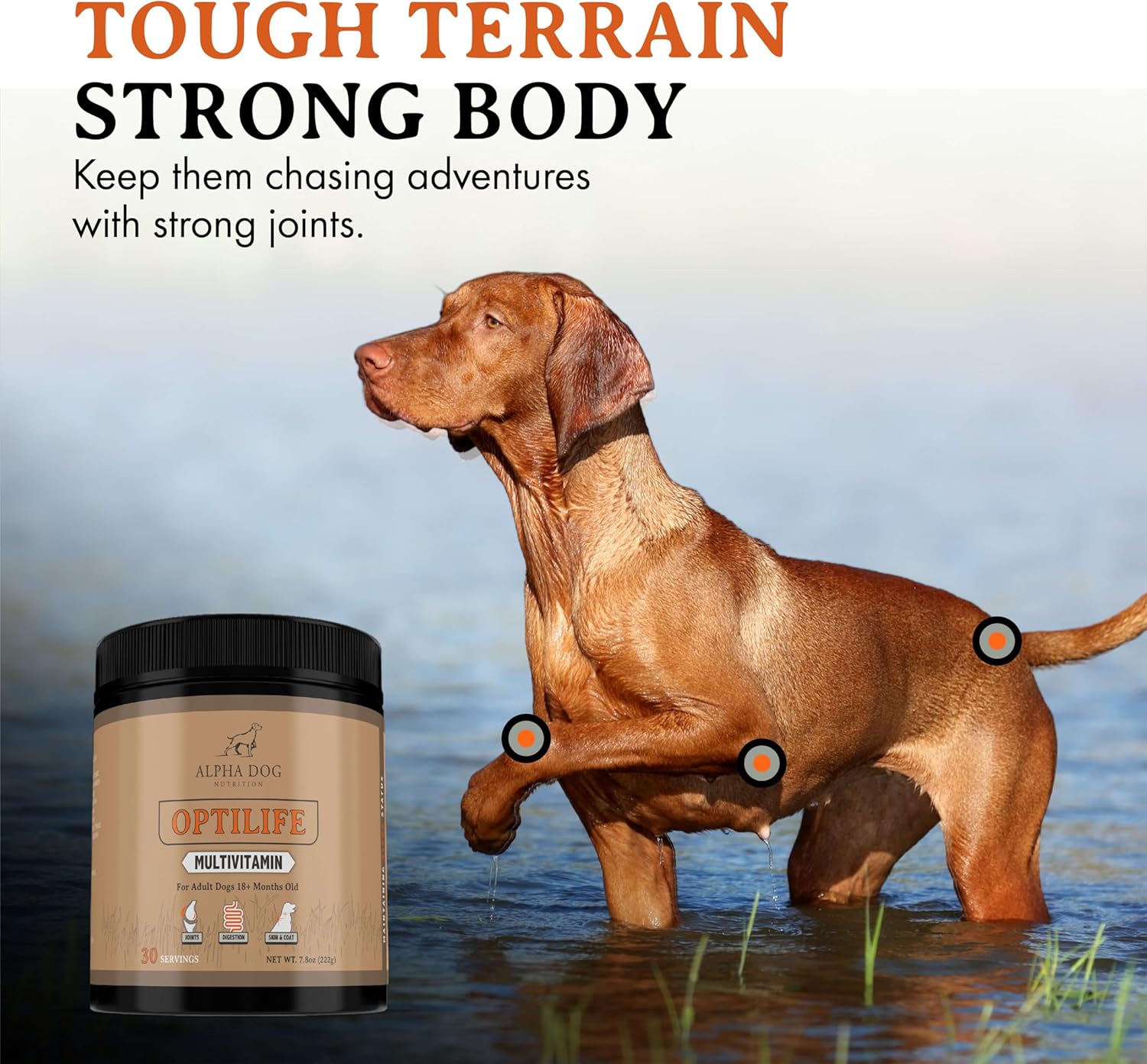 Alpha Dog Nutrition OptiLife Multivitamin Powder for Adult Dogs - Probiotics, Allergy, Joint, Skin & Coat Support - Dog Vitamins & Supplements - 30 Servings