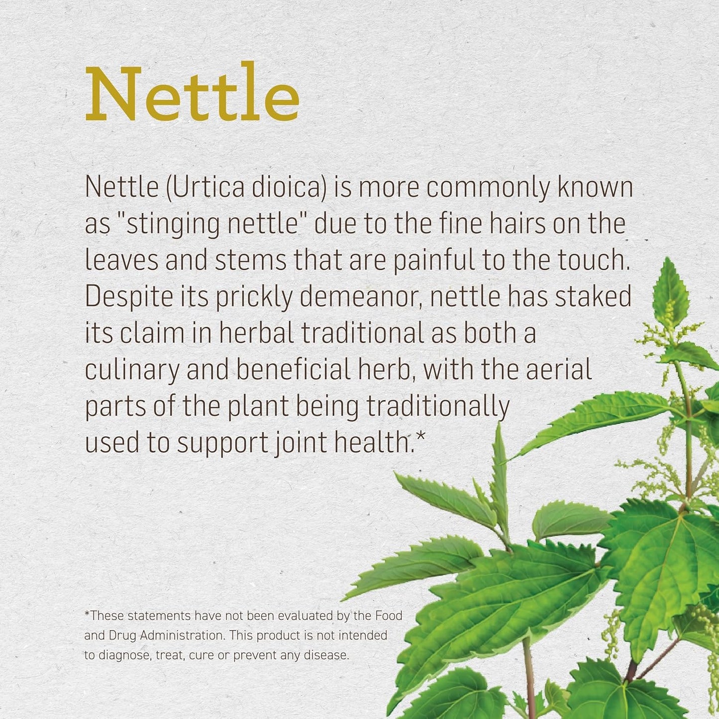 ALVITA Organic Nettle Tea - Herbal Stinging Nettle Leaf Tea for Cleansing, Detox, and Joint Health - 48 Tea Bags (3 Pack)