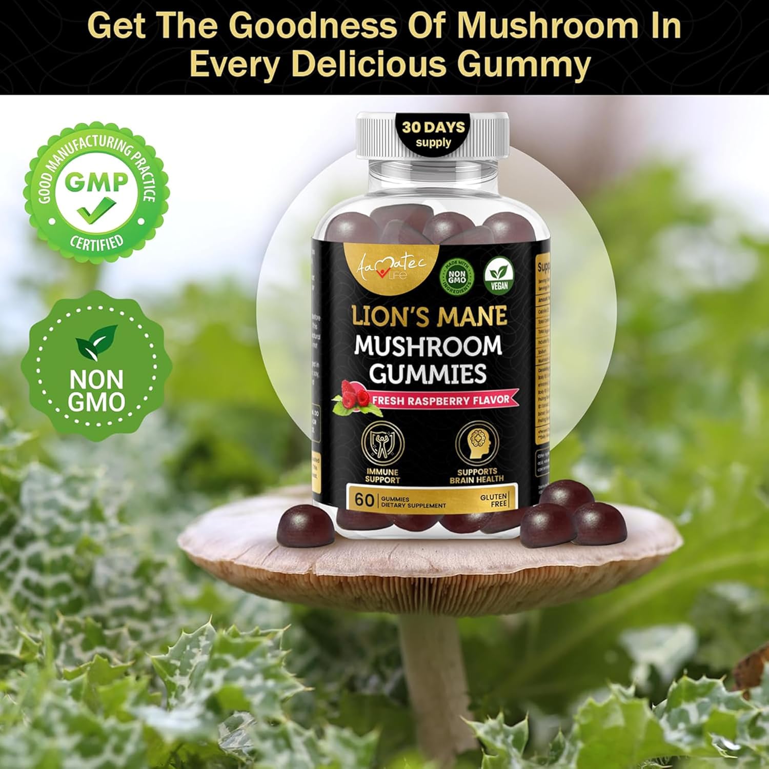 Amate Life Mushroom Gummies for Adults | 10 Mushroom Complex with Lions Mane, Reishi, Chaga & Cordyceps | Supports Brain, Immune System & Energy | Raspberry Flavor