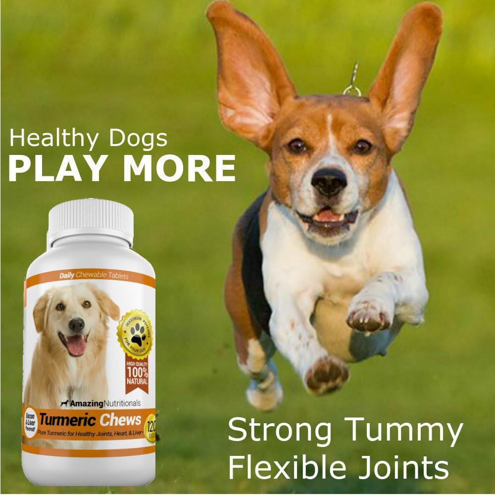 Amazing Turmeric Chews for Dogs - Curcumin Pet Antioxidant for Joint Pain, 120 Count