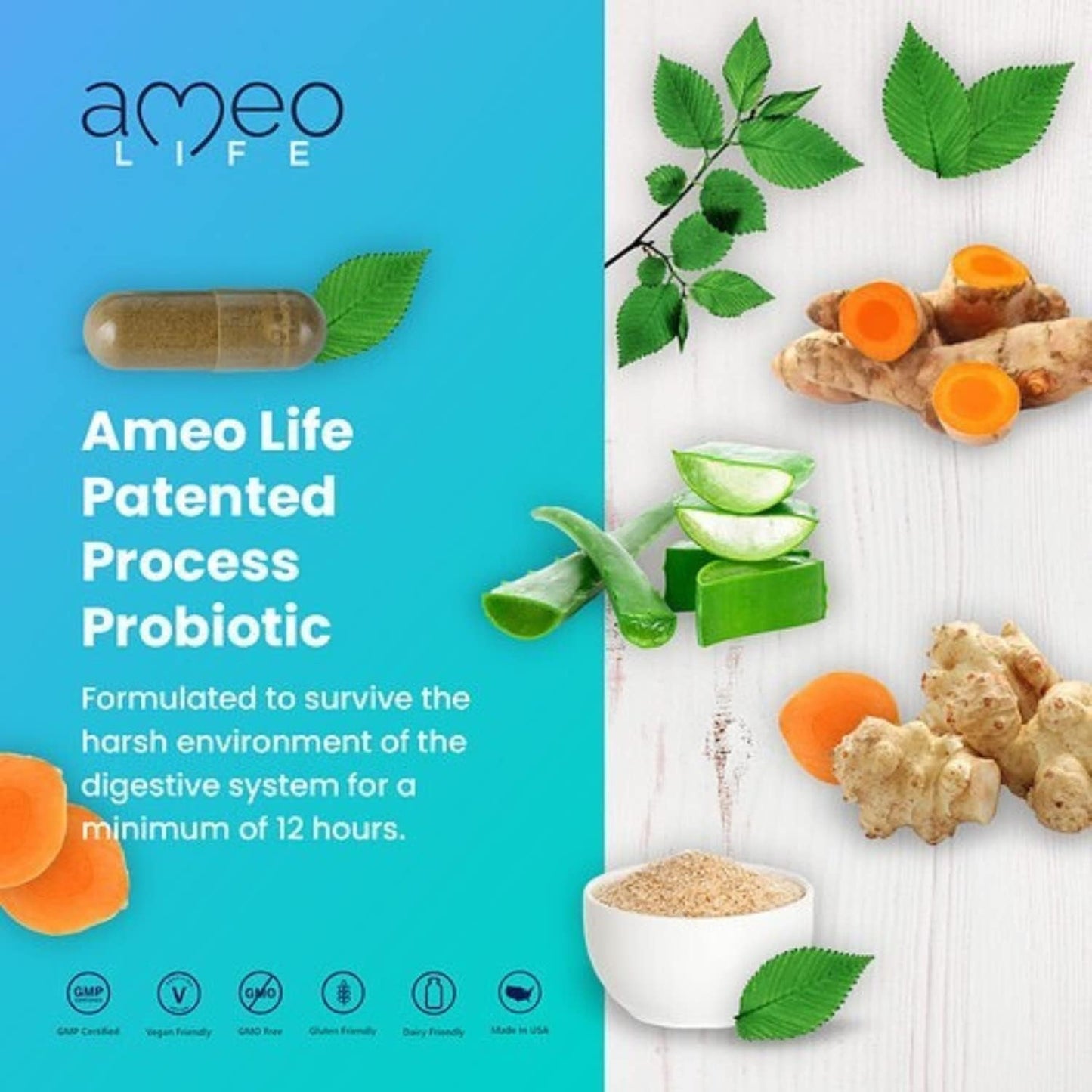Ameo Life Probiotics and Chelated Multivitamins Bundle: Supports Digestive and Immune Health