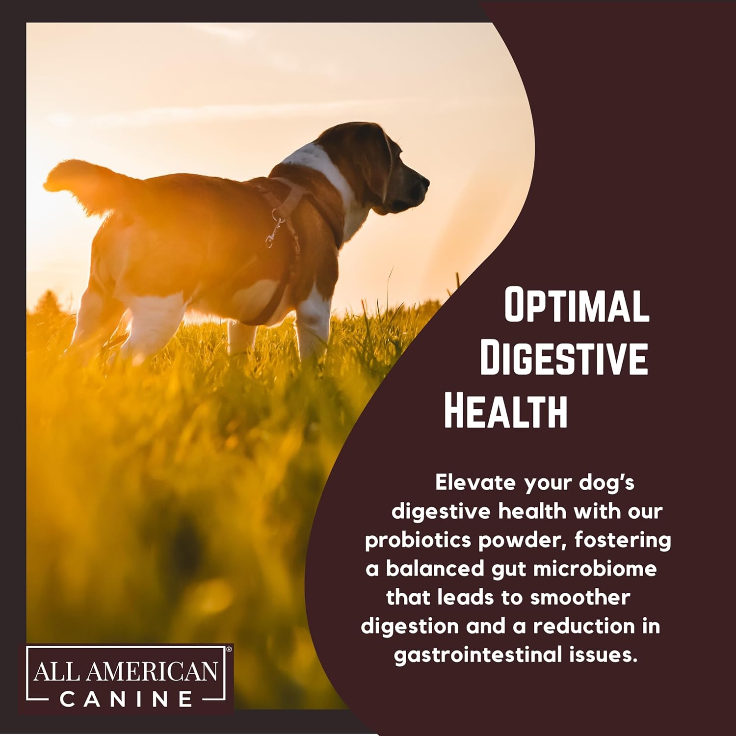 American Canine Probiotic Blend for Digestive Health & Immune Support - Prevents Diarrhea, Constipation, Inflammation - 90 Servings