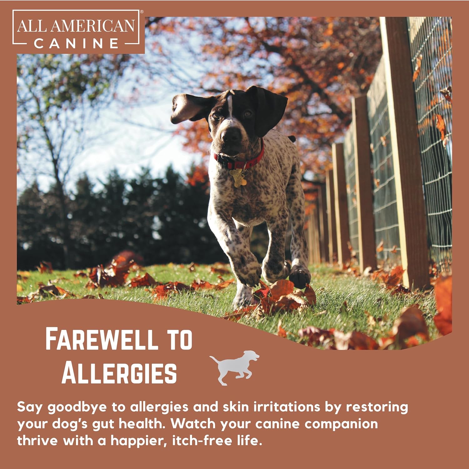 American Canine Probiotic Blend for Digestive Health & Immune Support - Prevents Diarrhea, Constipation, Inflammation - 90 Servings