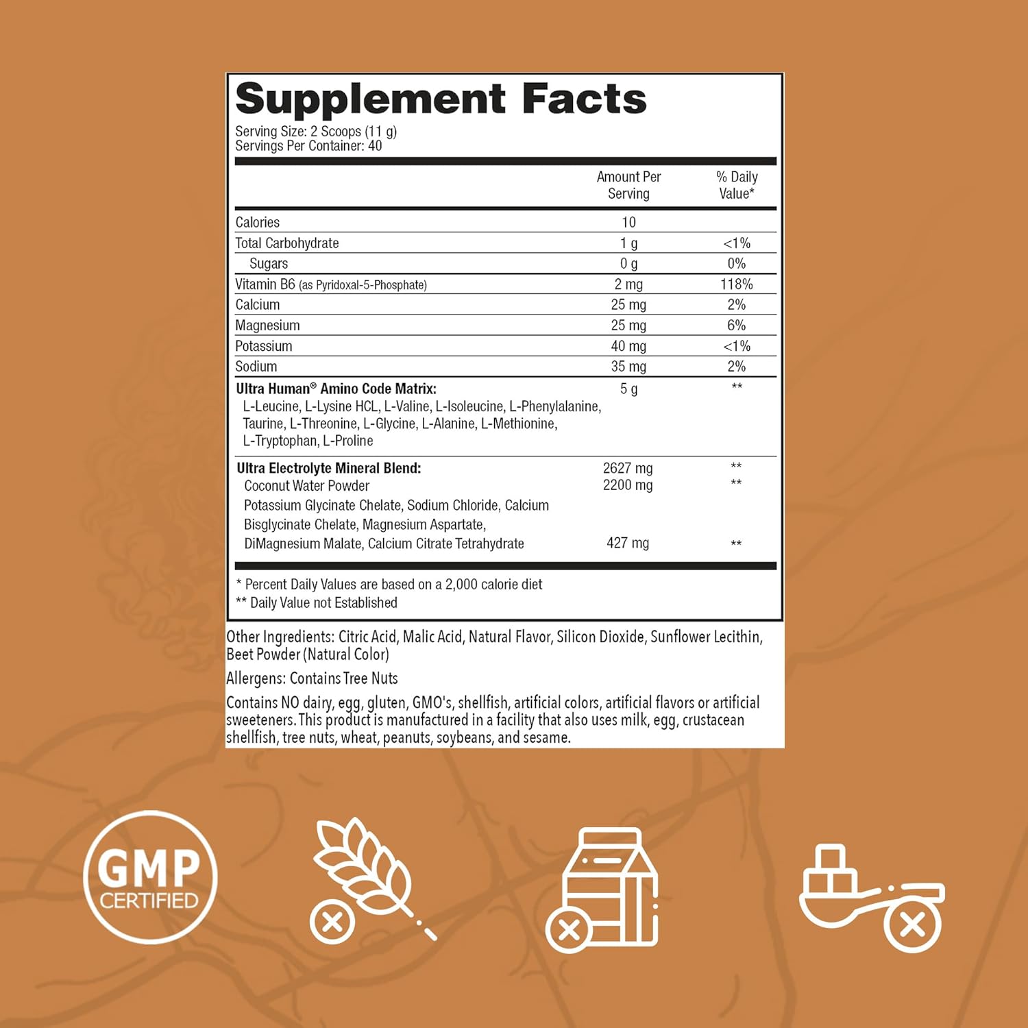 Amino Code Crushed Orange: Hydration Workout Recovery Powder with BCAAs + Electrolytes - 40 Servings